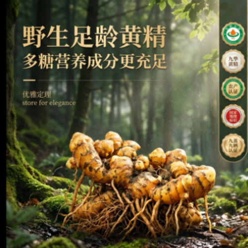 智能商务文书与教培方案